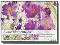 Abbildung von: KK-Box Bunte Blumenwiese - Präsenz Medien & Verlag