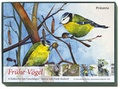 Cover: KK-Box Fr&uuml;he V&ouml;gel - Pr&auml;senz Medien & Verlag