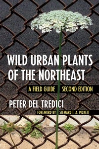 Abbildung von: Wild Urban Plants of the Northeast - Comstock Publishing Associates