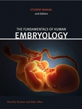 Bild: Fundamentals of Human Embryology - Abingdon Press