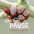 Cover: Wait, Rest, Pause - Lerner Publishing Group