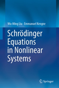 Enlarge image Cover: Schrödinger Equations in Nonlinear Systems - Springer