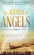 Cover: The Agenda of Angels - Destiny Image Incorporated