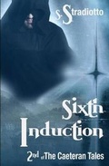 Cover: Sixth Induction - Stradiotto, LLC
