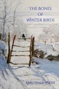 Cover: The Bones of Winter Birds - Terrapin Books