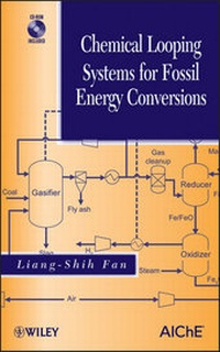 Enlarge image Cover: Chemical Looping Systems for Fossil Energy Conversions - Wiley-AIChE