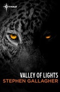 Cover: Valley of Lights - GATEWAY