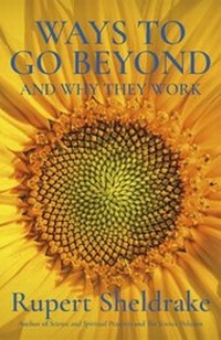 Enlarge image Cover: Ways to Go Beyond and Why They Work - Hodder & Stoughton