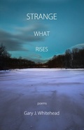 Cover: Strange What Rises - Terrapin Books