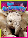 Cover: Baby Elephants - Bolt!