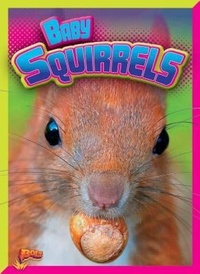Enlarge image Cover: Baby Squirrels - Bolt!