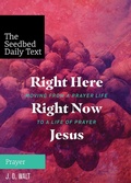 Cover: Right Here, Right Now, Jesus - Seedbed Inc