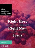 Cover: Right Here Right Now Jesus - Seedbed Publishing