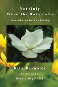 Cover: Not Only When The Rain Falls - Shooting for Success LLC DBA Rockit Press