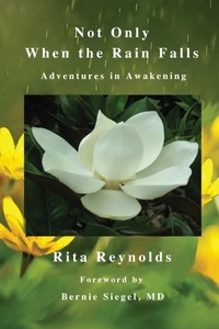 Enlarge image Cover: Not Only When The Rain Falls - Shooting for Success LLC DBA Rockit Press