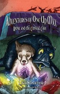 Enlarge image Cover: Adventures of One Up Max - Paradigm Impact Group