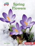 Cover: Spring Flowers - Lerner Publishing Group