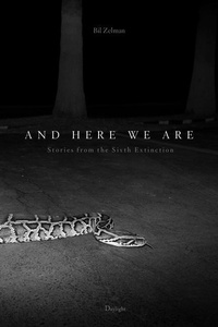 Enlarge image Cover: And Here We Are - Daylight Books