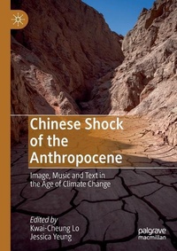 Enlarge image Cover: Chinese Shock of the Anthropocene - Palgrave Macmillan