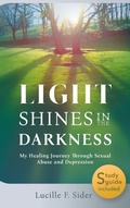 Cover: Light Shines in the Darkness, Hardcover - Read the Spirit Books