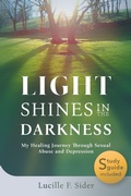 Cover: Light Shines in the Darkness - Read the Spirit Books