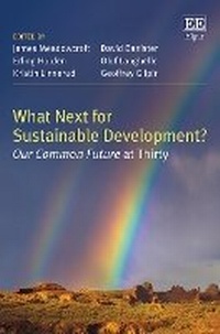 Enlarge image Cover: What Next for Sustainable Development? - Edward Elgar Publishing