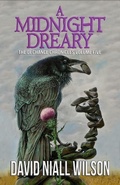 Cover: A Midnight Dreary - Mystique Press