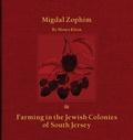 Cover: Migdal Zophim - South Jersey Culture & History Center