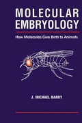Bild: Molecular Embryology - Routledge