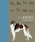 Cover: The Dog - Ivy Press