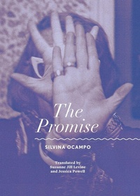 Abbildung von: The Promise - City Lights Books