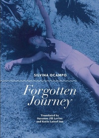 Abbildung von: Forgotten Journey - City Lights Books