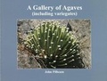 Cover: A Gallery of Agaves (including variegates) - British Cactus & Succulent Society