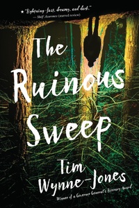 Enlarge image Cover: The Ruinous Sweep - Candlewick Press,U.S.