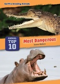 Cover: Most Dangerous - Red Chair Press
