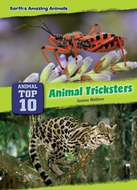 Enlarge image Cover: Animal Tricksters - Red Chair Press