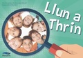Cover: Llun a Thrin - Canolfan Peniarth