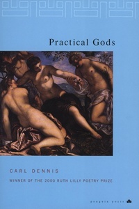 Enlarge image Cover: Practical Gods - Penguin Books