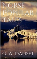 Cover: Norse popular tales - Books on Demand