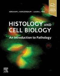 Abbildung von: Histology and Cell Biology: An Introduction to Pathology - Elsevier