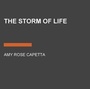 Cover: The Storm of Life - Listening Library