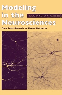Abbildung von: Modeling in the Neurosciences - CRC Press