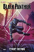 Cover: Marvel Action: Black Panther: Stormy Weather (Book One) - Idea & Design Works