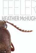 Cover: Feeler - Sarabande Books, Incorporated
