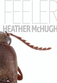Enlarge image Cover: Feeler - Sarabande Books, Incorporated