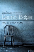 Cover: The Journey Home - Flamingo