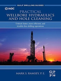 Abbildung von: Practical Wellbore Hydraulics and Hole Cleaning - Gulf Professional Publishing