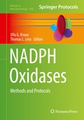 Bild: NADPH Oxidases - Humana