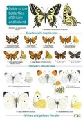 Cover: Guide to the butterflies of Britain and Ireland 2019 - Field Studies Council