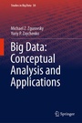 Cover: Big Data: Conceptual Analysis and Applications - Springer
